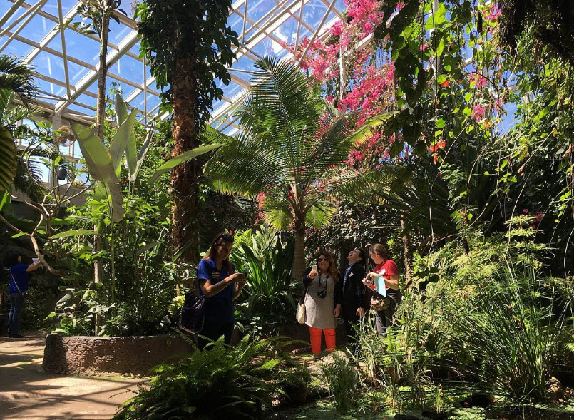 Amarillo Botanical Gardens, United States